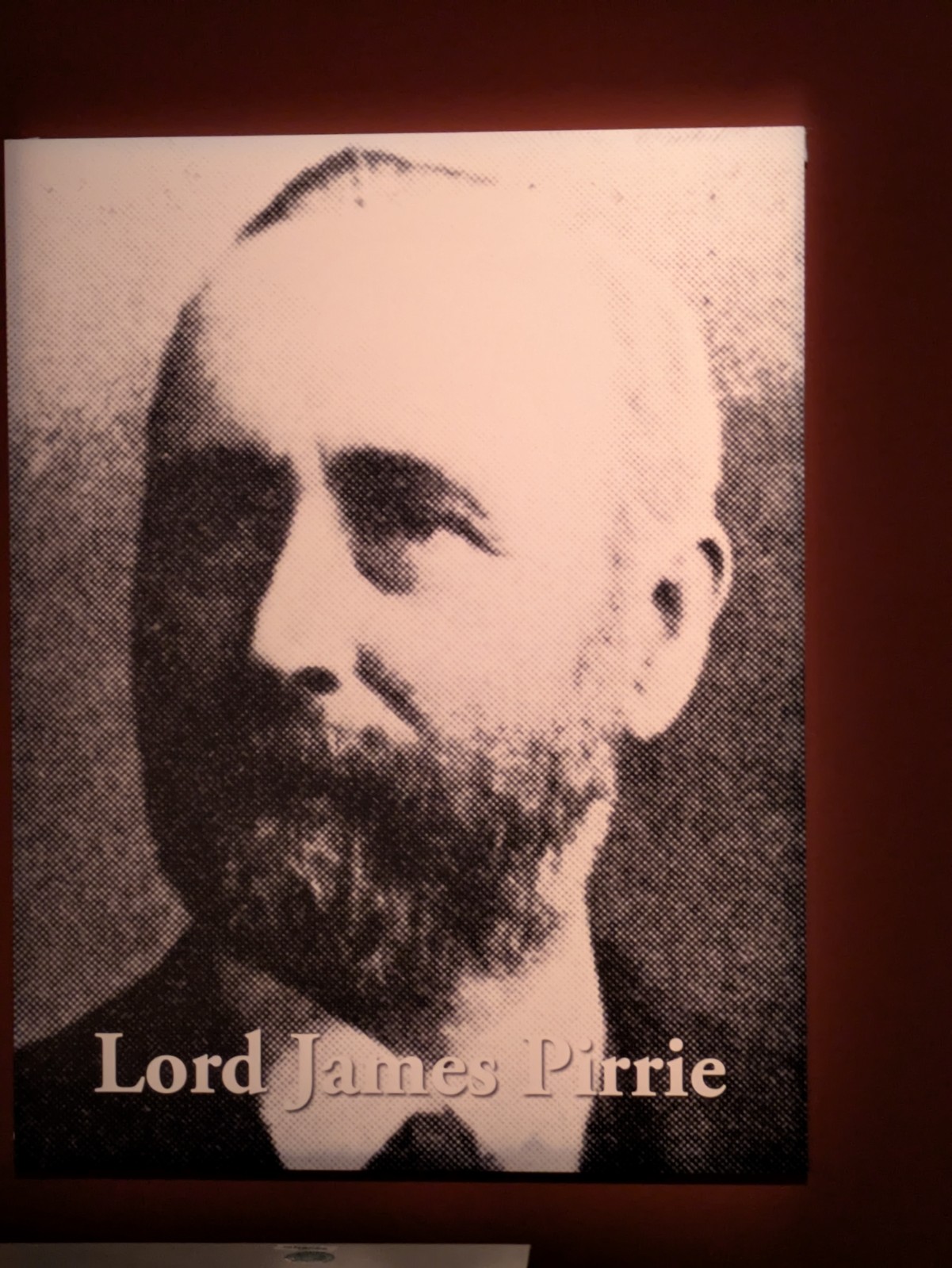 PXL 20241217 100542491